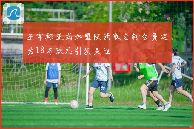 王宇翔正式加盟陕西联合转会费定为18万欧元引发关注