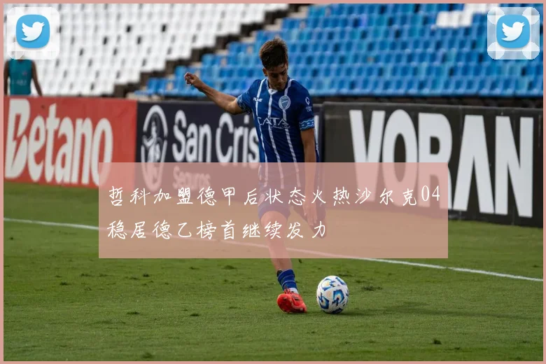 哲科加盟德甲后状态火热沙尔克04稳居德乙榜首继续发力
