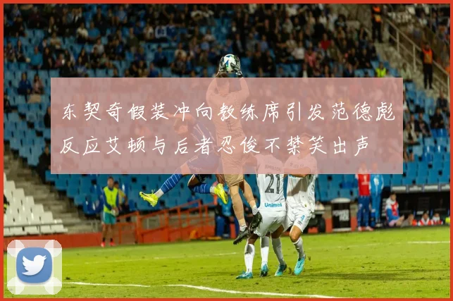 东契奇假装冲向教练席引发范德彪反应艾顿与后者忍俊不禁笑出声